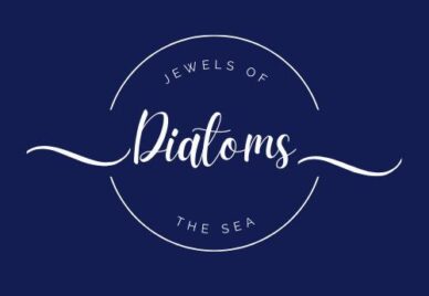 426692781_268609529636491_4089873404775195254_n