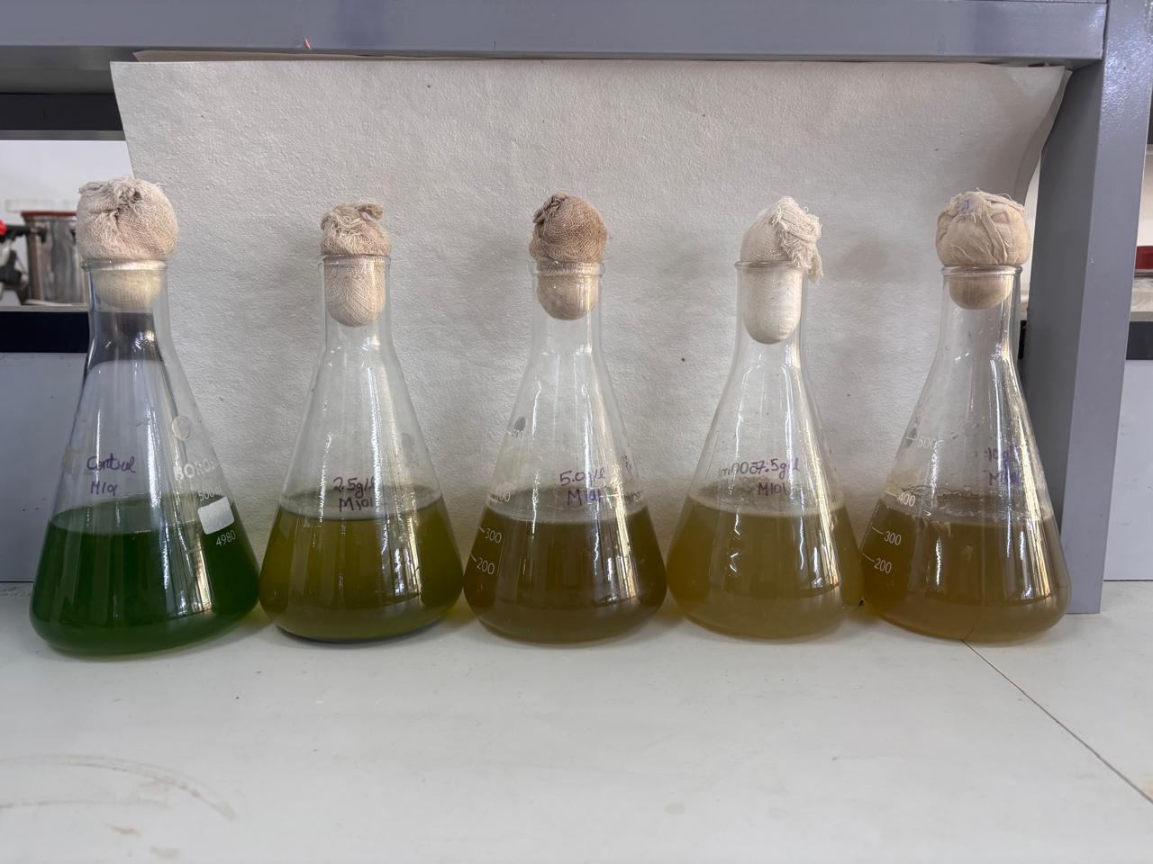 Algal Biotechnology