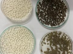 Pharmaceutical research