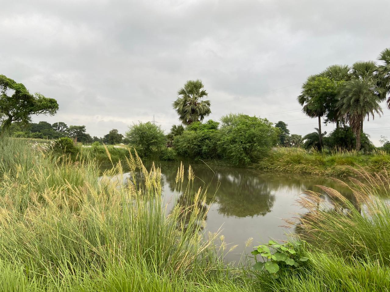 Wastewater treatment