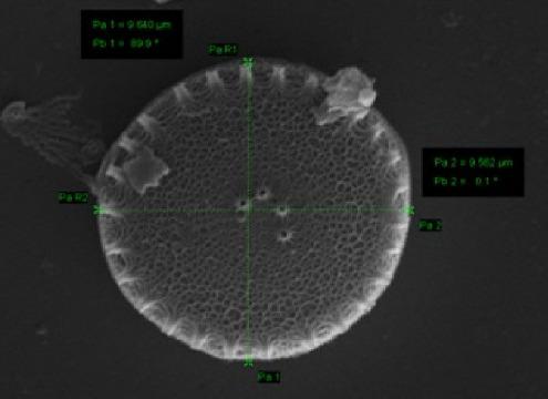 Nanomedicine