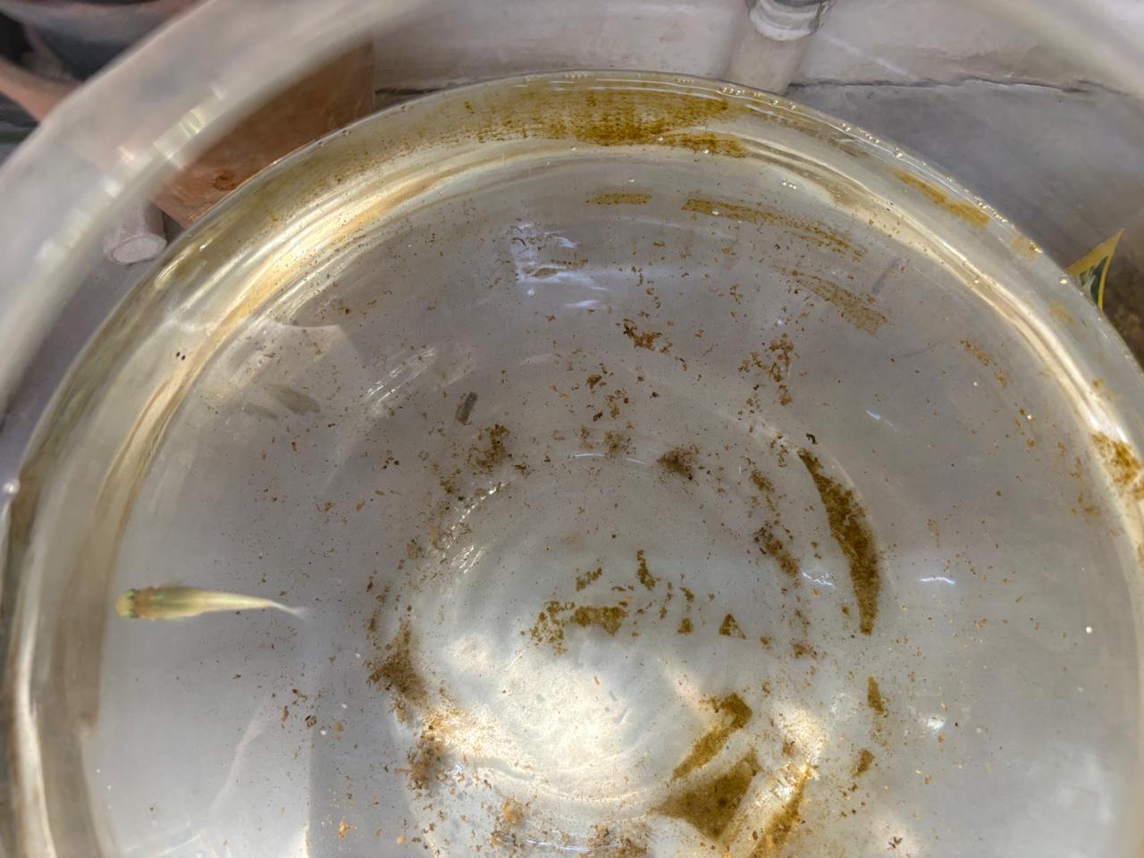 Aquaculture